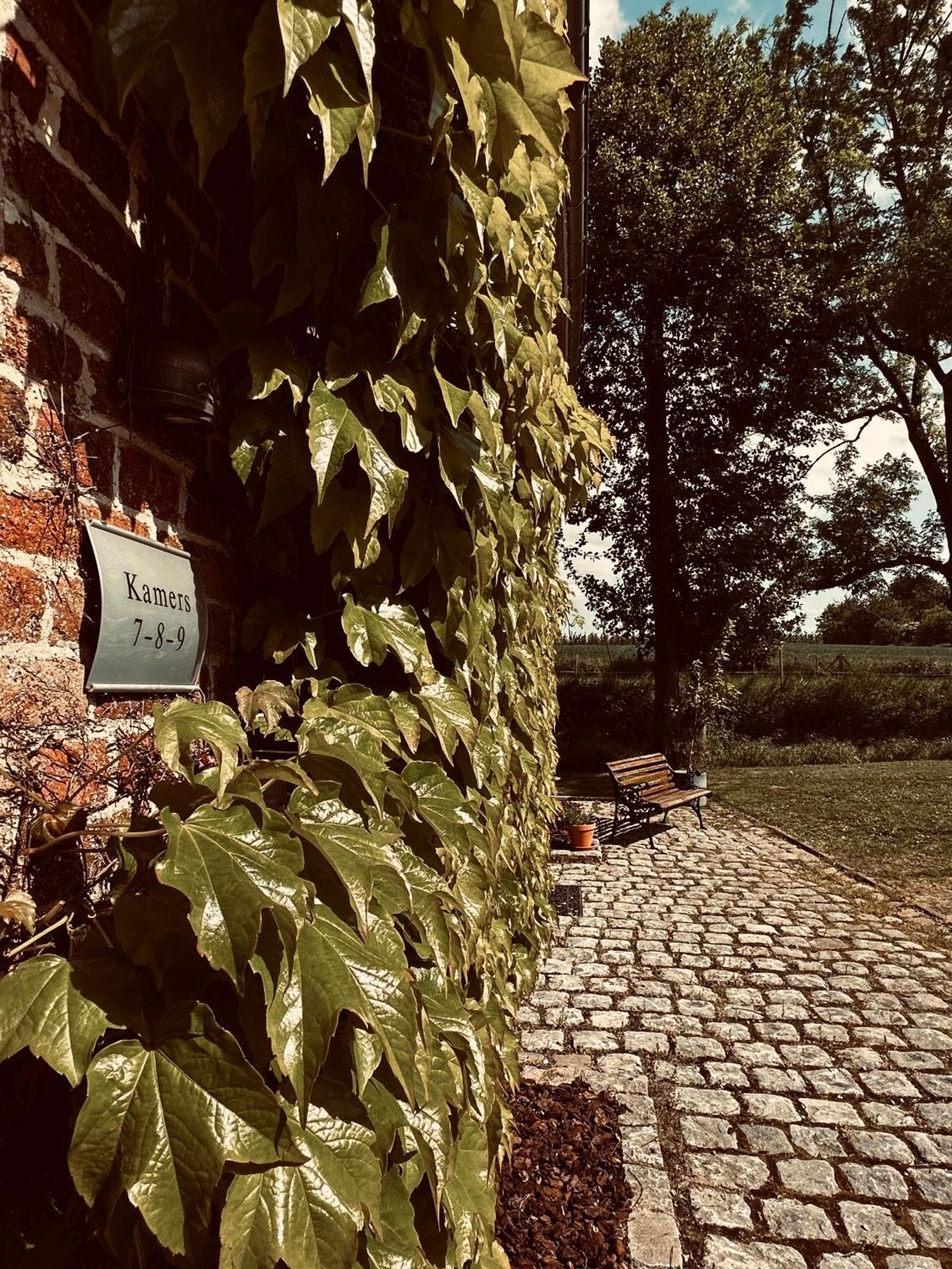 De Verborgen Parel B&B Borgloon Exterior photo