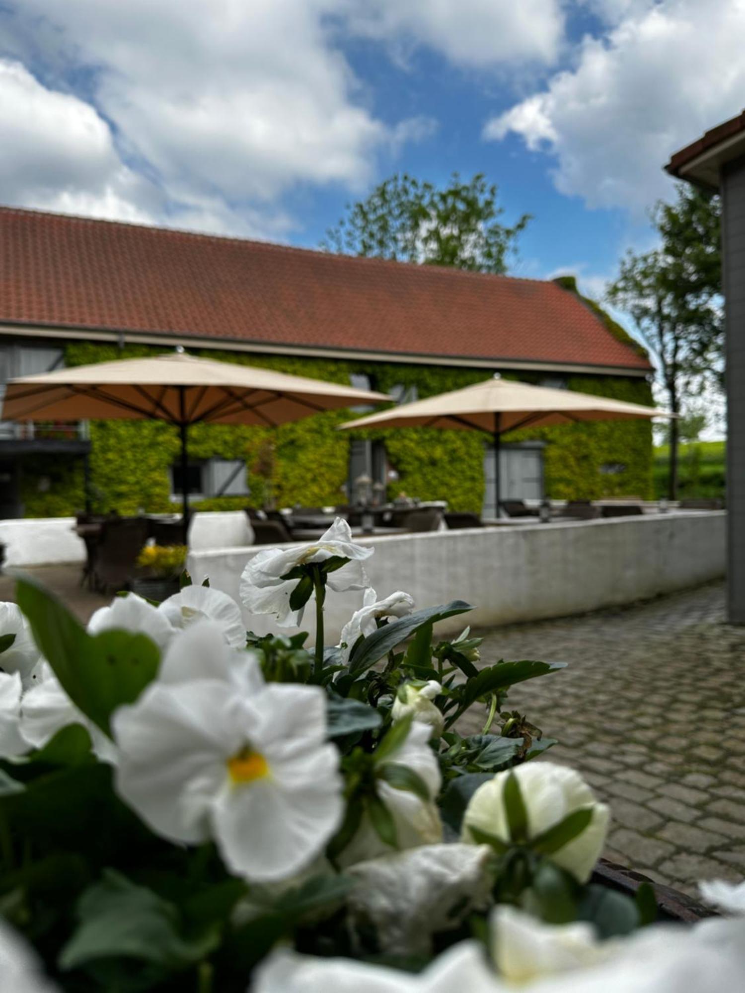 De Verborgen Parel B&B Borgloon Exterior photo