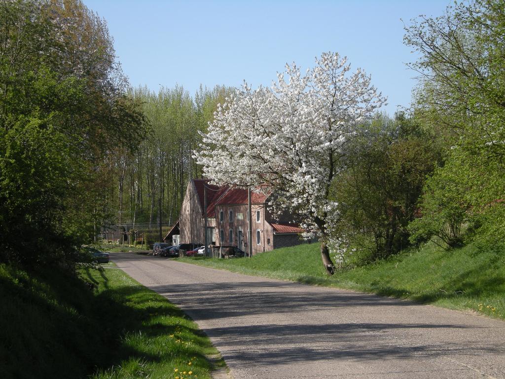De Verborgen Parel B&B Borgloon Exterior photo
